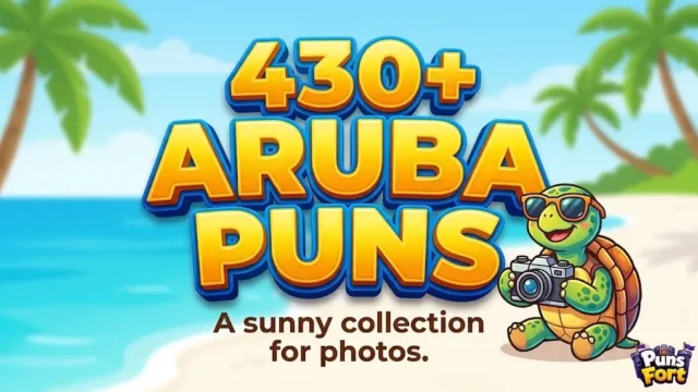 Large 3D text for 430+ ARUBA PUNS with a cartoon turtle on a camera and Puns Fort branding.